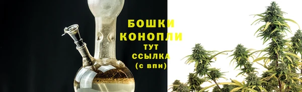PSILOCYBIN Арсеньев