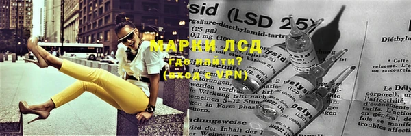 ПСИЛОЦИБИНОВЫЕ ГРИБЫ Аркадак