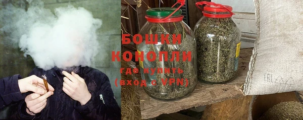 ПСИЛОЦИБИНОВЫЕ ГРИБЫ Аркадак
