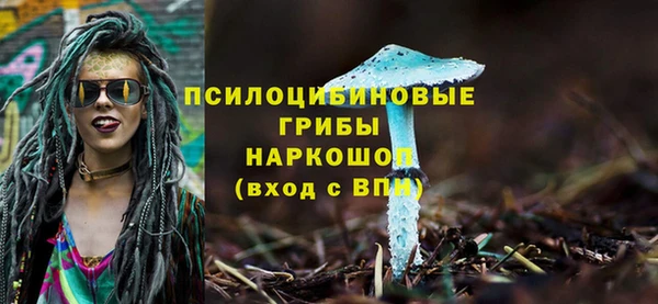 ПСИЛОЦИБИНОВЫЕ ГРИБЫ Аркадак