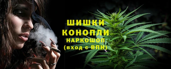 ПСИЛОЦИБИНОВЫЕ ГРИБЫ Аркадак