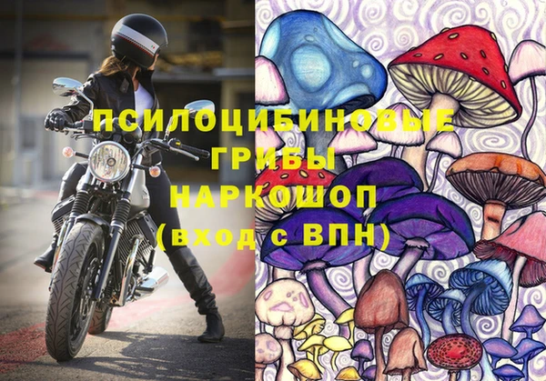 бошки Пересвет